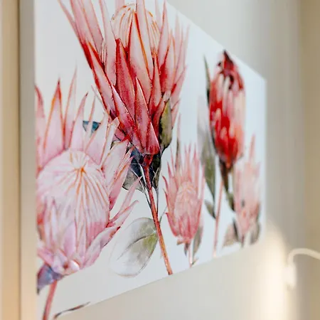 Casa Larisa Maggiore *